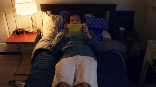 gamer lamenting the switch lite's unsuitability for pornography